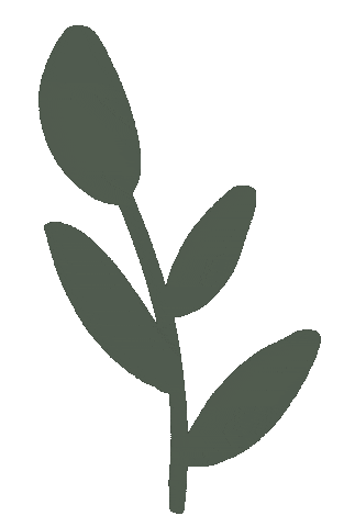Flower Plant Sticker