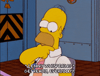 homer simpson episode 13 GIF