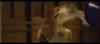 water splash GIF