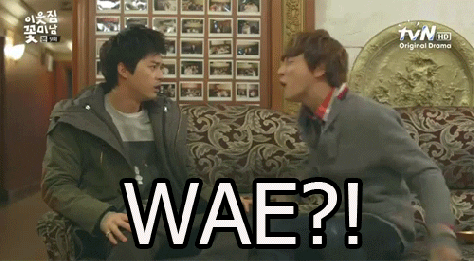 gong yoo GIF