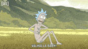Rick And Morty Vikings GIF by Adult Swim