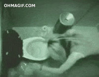 drunk dog GIF