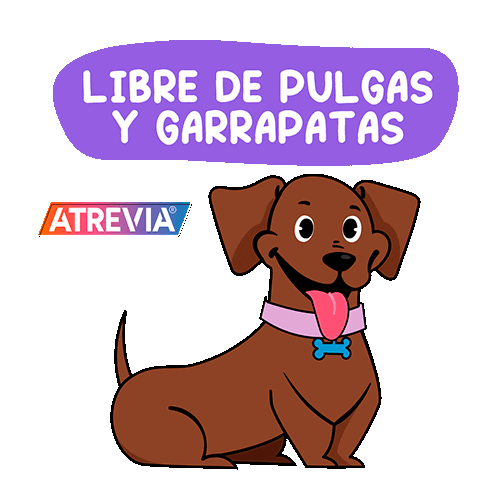 Agrovetmarket giphyupload dog puppy perro Sticker