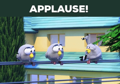 happy pigeons GIF by Pat The Dog