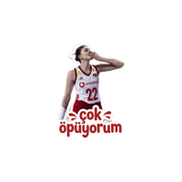 Filenin Sultanları Sticker by Vodafone Türkiye