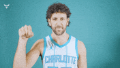 Hive Mentality Vasa Micic GIF by Charlotte Hornets