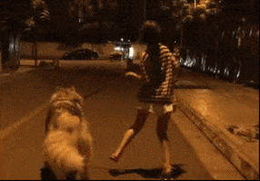 Happy Dog GIF by TikiIndia