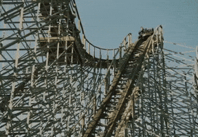 Roller Coaster Fun GIF by Livingston