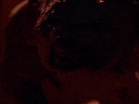 werewolfdaily werewolf ginger snaps werewolfdaily GIF