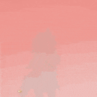 Honkai Impact Cooking GIF