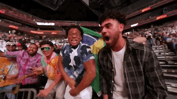 Excited Mixed Martial Arts GIF by UFC