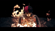 DCtheDon meme what fire rap GIF