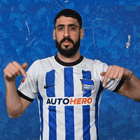 Sport Bundesliga GIF by Hertha BSC