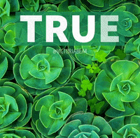 True Yesyes Help Jesus Victoriabea4 GIF