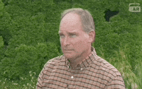 Eyebrow Raise Reaction GIF by ANTIQUES ROADSHOW | PBS