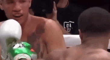 Devin Haney Boxing GIF by EsZ  Giphy World