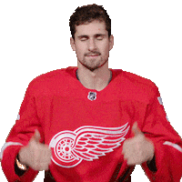 Ice Hockey Thumbs Up Sticker by Detroit Red Wings
