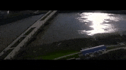 indiana GIF