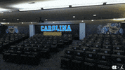 Brand Jordan GIF by Carolina Football