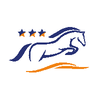 Horses Horseriding Sticker by Kristy Snepvangers