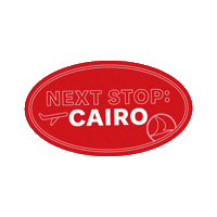 Cairomarathon Sticker by Turkish Airlines