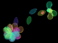 Renew I Love You GIF by Barbara Pozzi