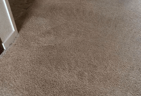 cosmocarpetcleaning giphygifmaker carpet cleaning hamilton nj GIF