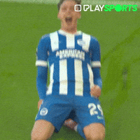 Premier League Yes GIF by Play Sports
