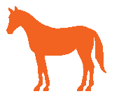 ZoetisEquine horse horses equine zoetis Sticker