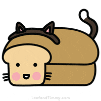 loofandtimmy cat kitty kitten meow GIF