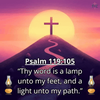 Bible Scripture Christian GIF by Young Faith in Christ