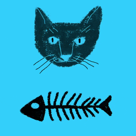 Cat GIF by Barbara Pozzi