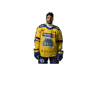 Jubel Sticker by Storhamar Hockey