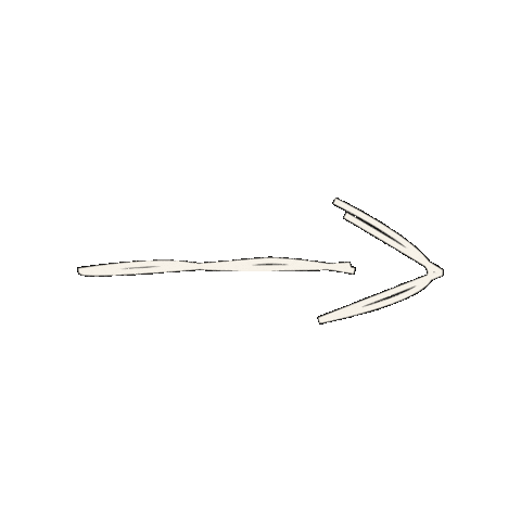 Wdlstarnberg Sticker by WDL Deutschlnd