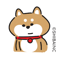 Watching You Come On Sticker by SHIBAINC