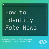 News Lebanon GIF by Data4Change