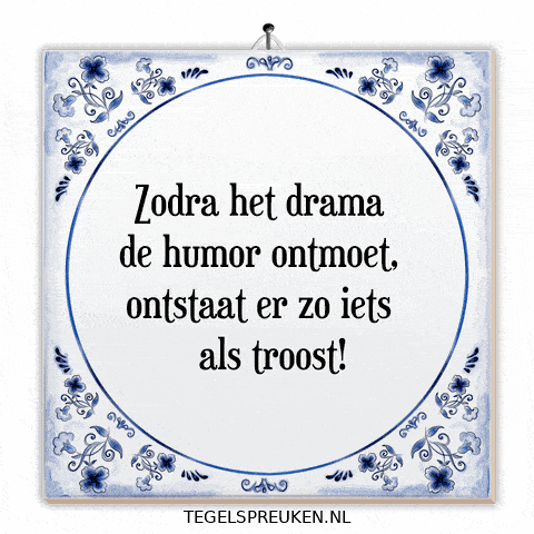 Drama Humor GIF by Tegelspreuken.nl