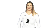 Volleyball Vb Sticker by Providence Friars