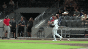 Sport Hello GIF by Fayetteville Woodpeckers