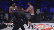 GIF by Bellator