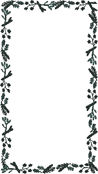 Merry Christmas Sticker