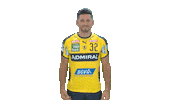 Handball-Bundesliga Pose Sticker by LIQUI MOLY HBL