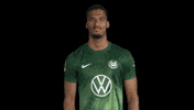 Happy Germany GIF by VfL Wolfsburg