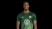 Thumps Up Germany GIF by VfL Wolfsburg