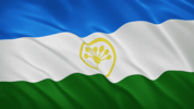 Bashkortostan Bashkir GIF