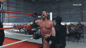 Professional Wrestling Pain GIF by THE WRESTLERS