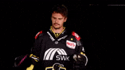 Hockey Del2 GIF by Krefeld Pinguine