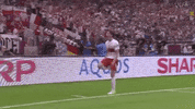 Robert Lewandowski Football GIF by UEFA