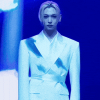 Stray Kids Skz GIF
