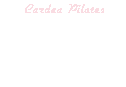 cardeapilates giphyupload pilates reformer reformerpilates Sticker